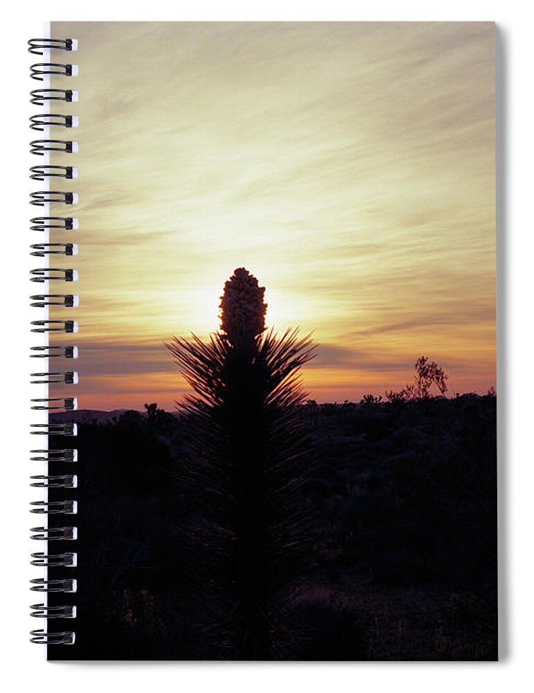 Tom Daniel Spiral Notebook featuring the photograph Joshua Candle #1 by Tom Daniel