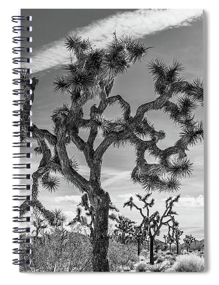 Landscape Spiral Notebook featuring the photograph Joshua Tree Black and White by Claude Dalley