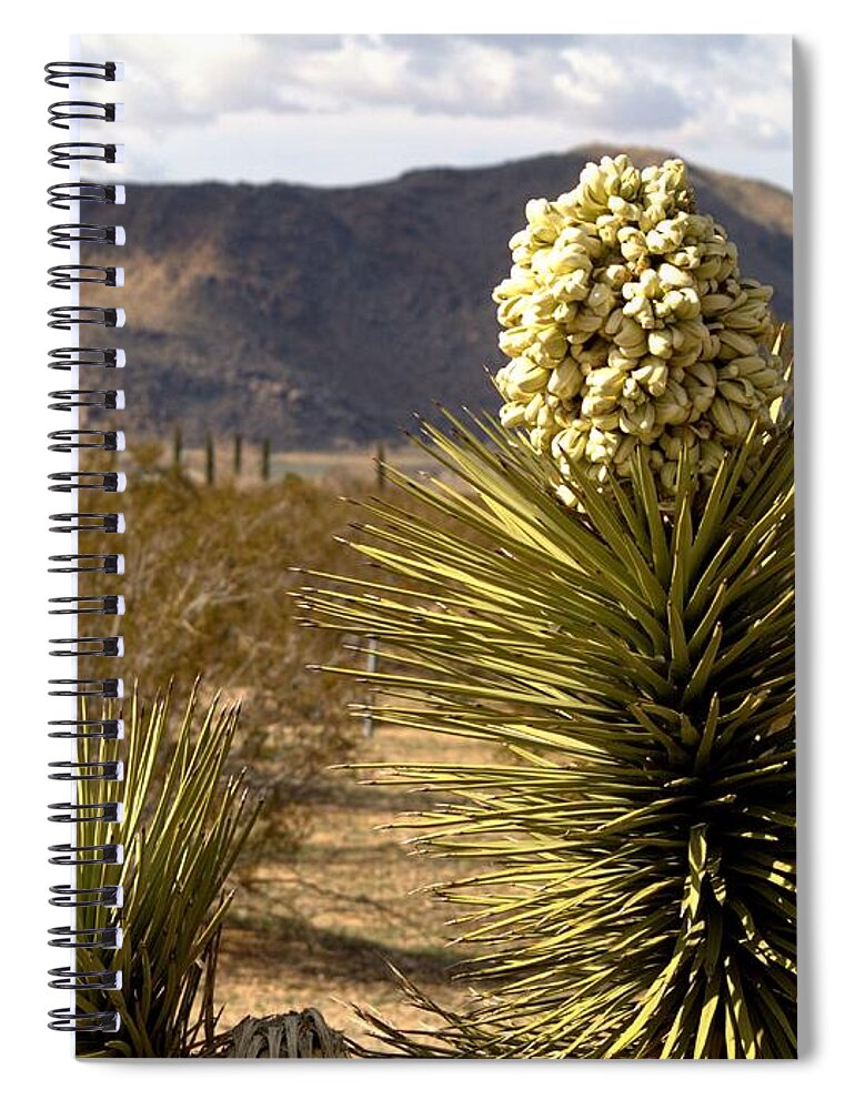 Mojave Spiral Notebook featuring the photograph Joshua Tree Landscape by Richard Thomas