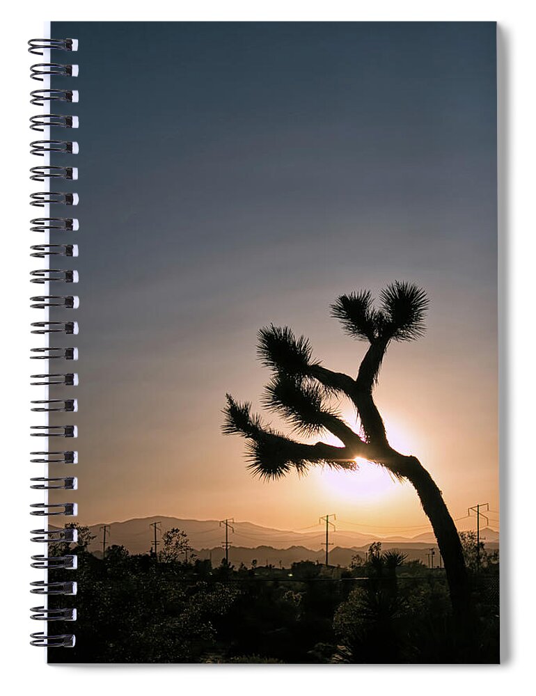 Desert Spiral Notebook featuring the photograph Joshua Tree Silhouette by Lisa Chorny