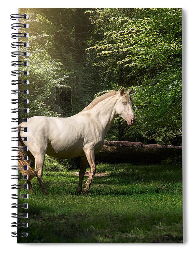 Horse Spiral Notebook featuring the photograph Just a dream - horse art by Lisa Saint