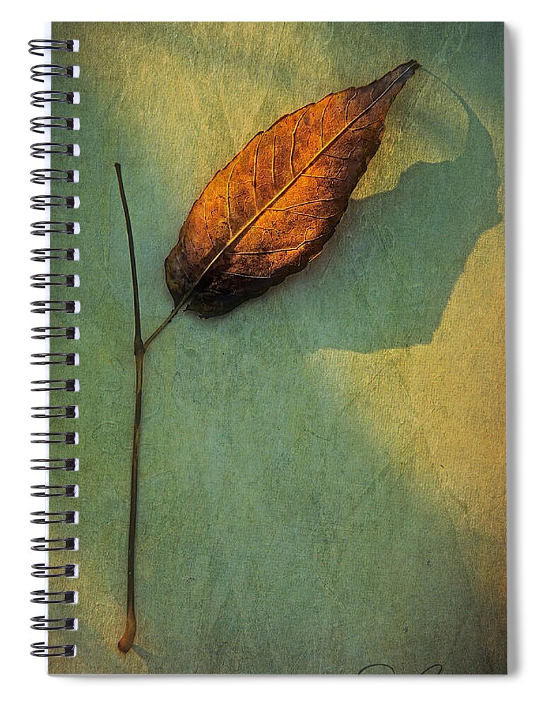 Leaves Spiral Notebook featuring the photograph Just Me And My Shadow by Rene Crystal