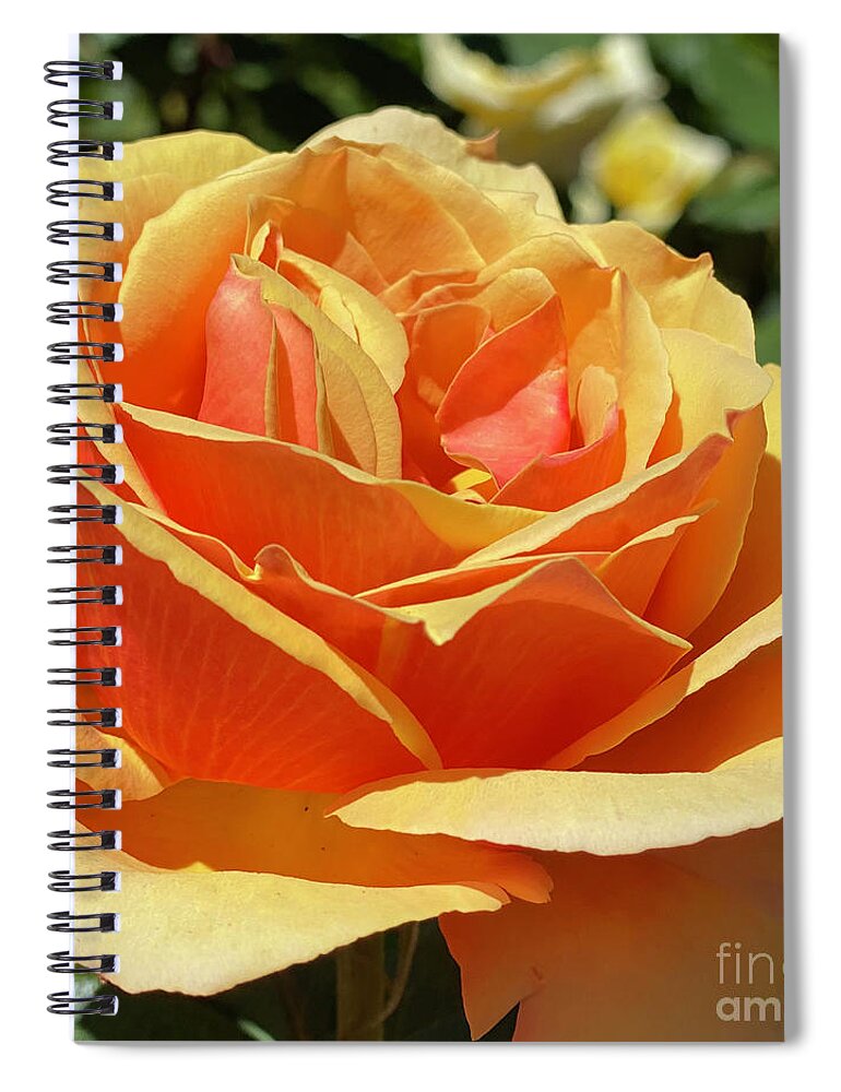 Peach Spiral Notebook featuring the photograph Just Peachy 2 by Wendy Golden