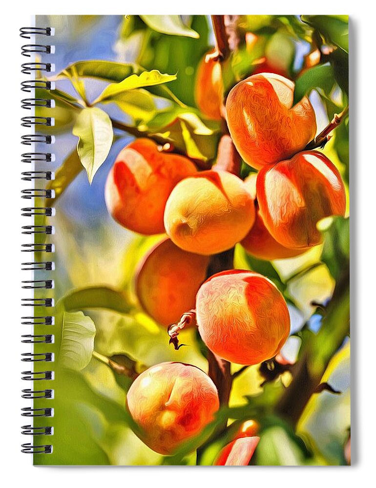 Just Peachy Spiral Notebook featuring the painting Just Peachy by Harry Warrick