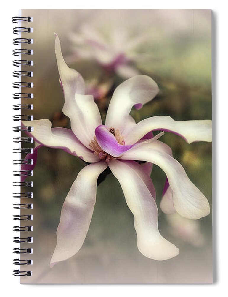 Magnolia Spiral Notebook featuring the photograph Just Shy of Centre by Elaine Teague