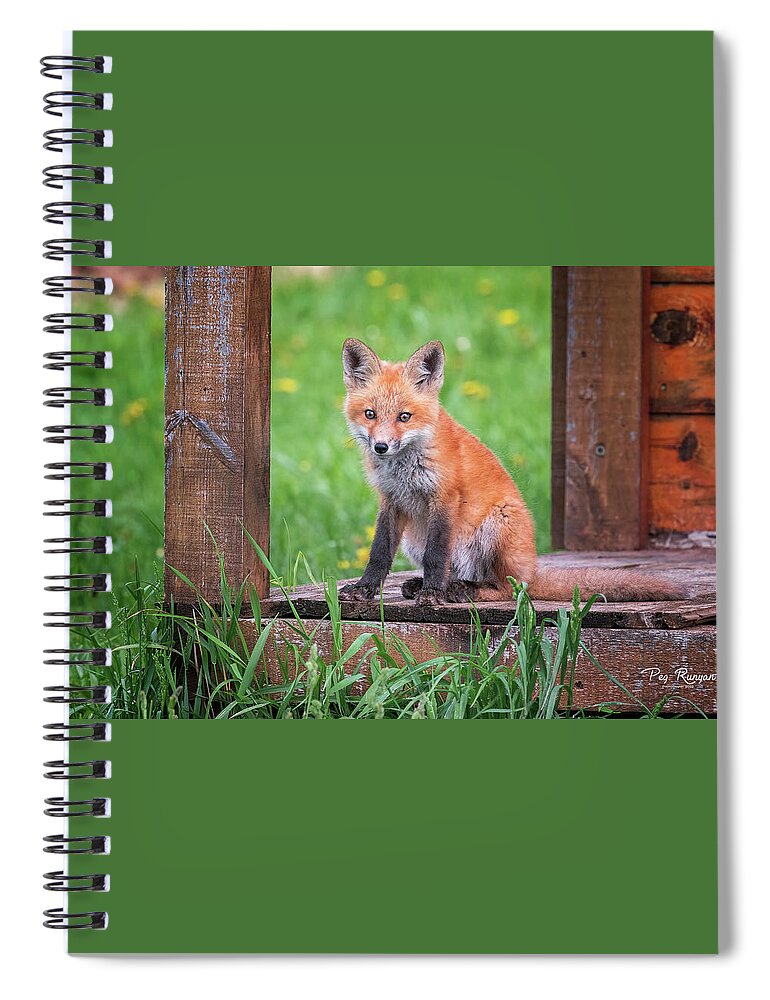 Fox Spiral Notebook featuring the photograph Just Sitting and Thinking by Peg Runyan