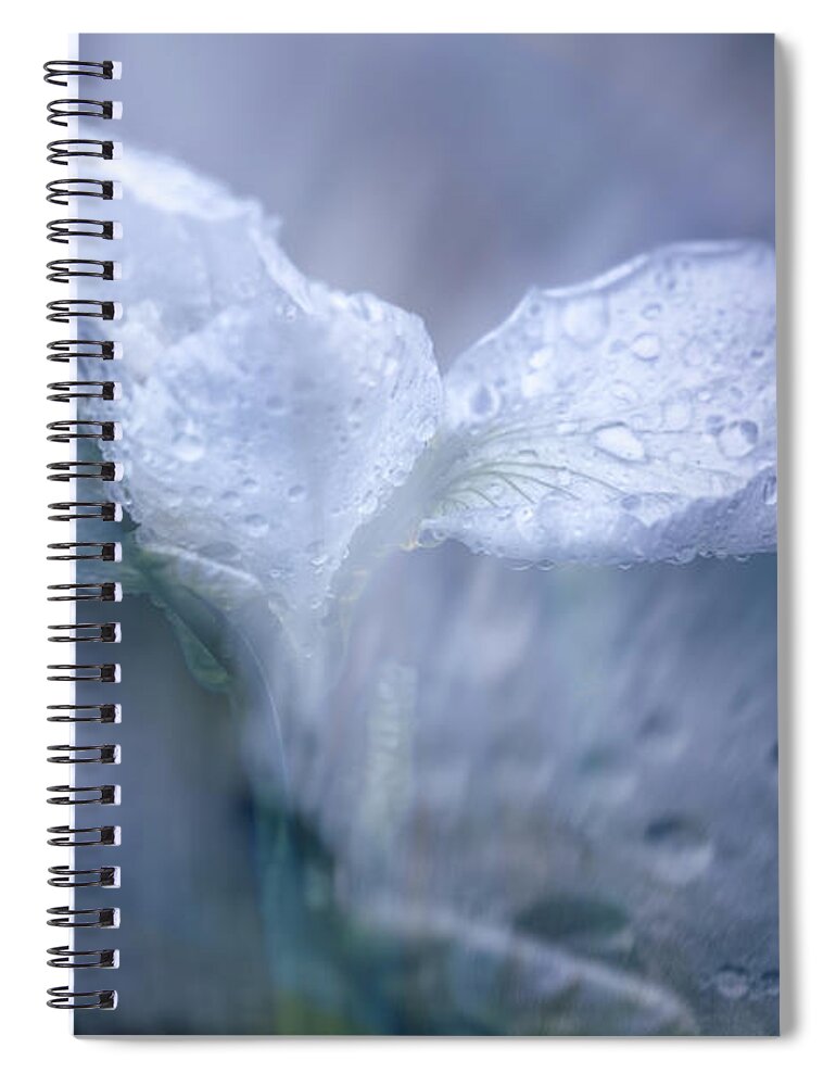 Iris Spiral Notebook featuring the photograph Just When I Thought I Would Never Think of You by Cynthia Dickinson