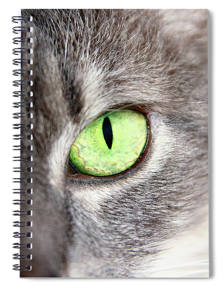 Cat Spiral Notebook featuring the photograph Keeping An Eye On You by Lens Art Photography By Larry Trager