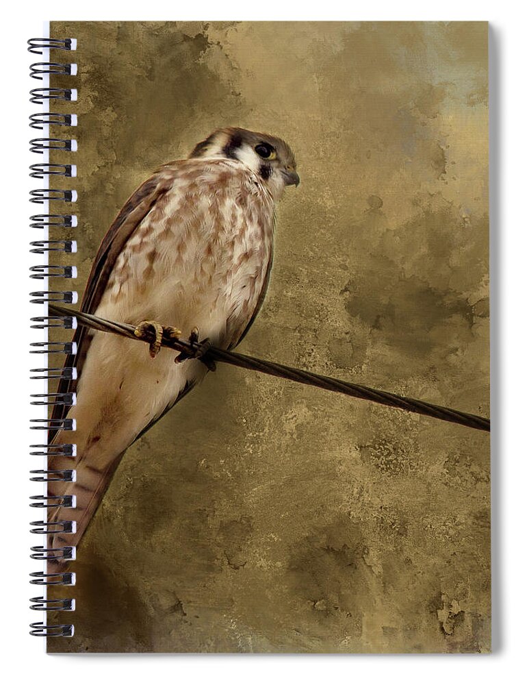Bird Spiral Notebook featuring the photograph Kestrel by Rebecca Cozart