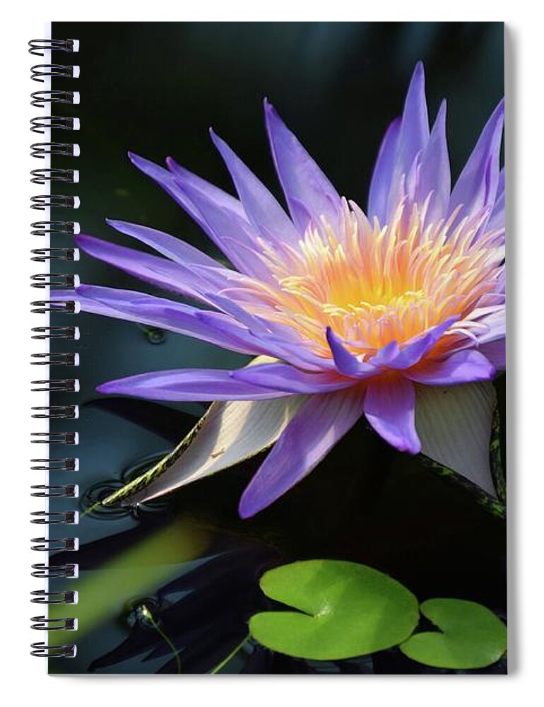 Water Lily Spiral Notebook featuring the photograph Kew Water Lily Too by Terry M Olson