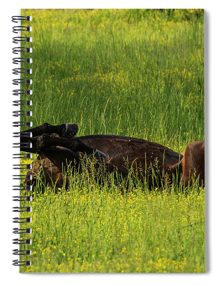 Great Smoky Mountains National Park Spiral Notebook featuring the photograph Kick Up Your Feet by Melissa Southern