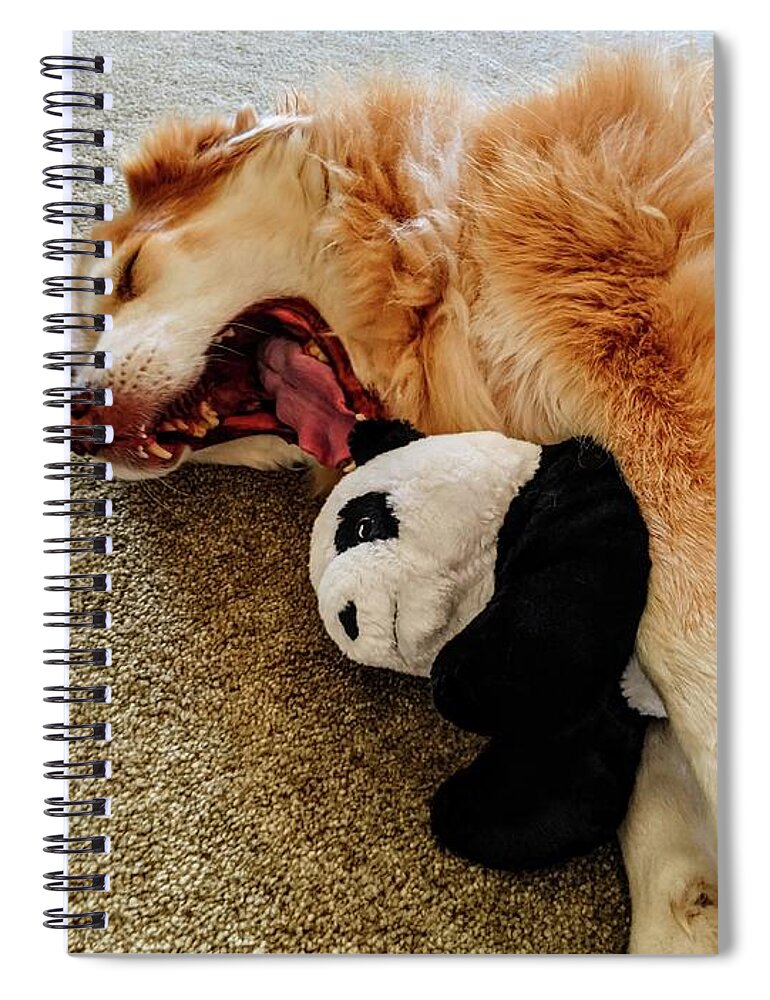  Spiral Notebook featuring the photograph Killer by Brad Nellis