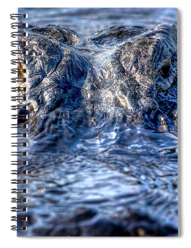 Alligator Spiral Notebook featuring the photograph Killer Instinct by Mark Andrew Thomas