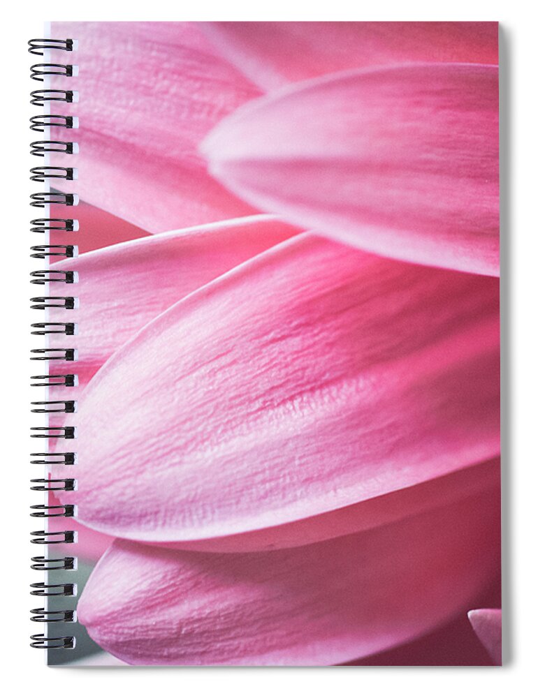 Almond Shaped Spiral Notebook featuring the photograph Kindness Unafraid by Christi Kraft