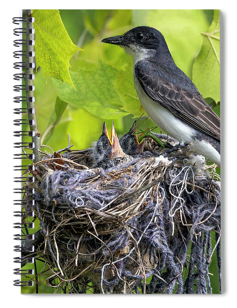 Bird Spiral Notebook featuring the photograph Kingbird Nest by Art Cole