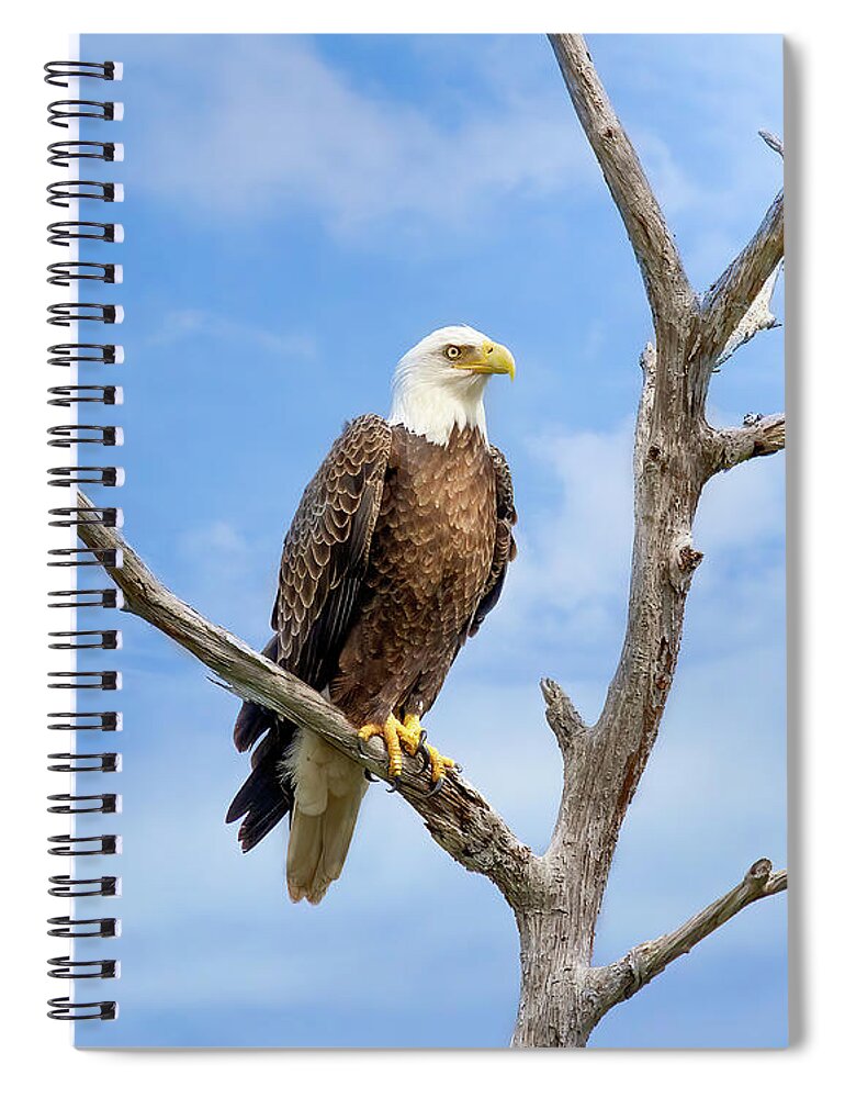 Eagle Spiral Notebook featuring the photograph Kingdom of the Eagle by Mark Andrew Thomas