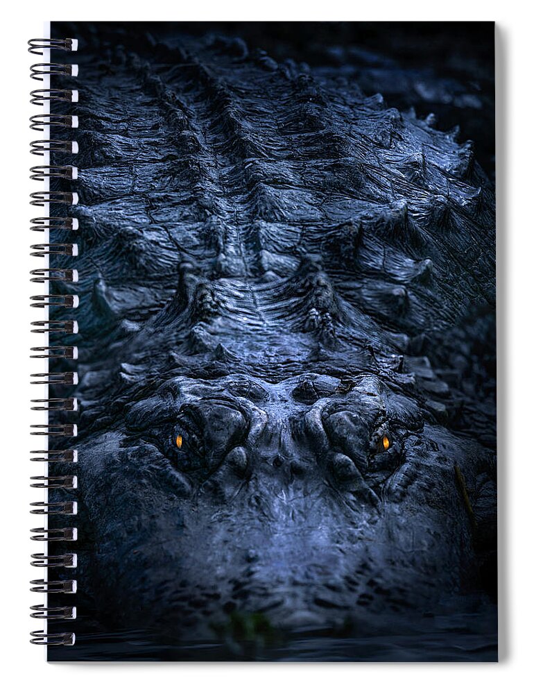 Alligator Spiral Notebook featuring the photograph Kingdom of the Gator by Mark Andrew Thomas