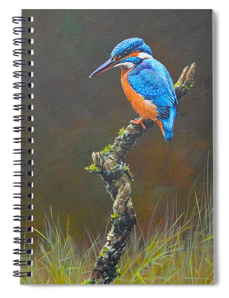 Kingfisher Spiral Notebook featuring the painting Kingfisher on Branch by Alan M Hunt