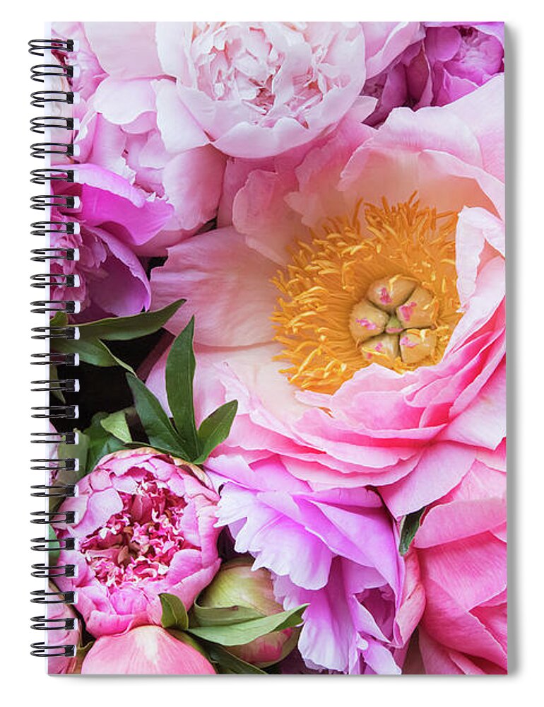 Peonies Spiral Notebook featuring the photograph Kissed by Spring by Marilyn Cornwell