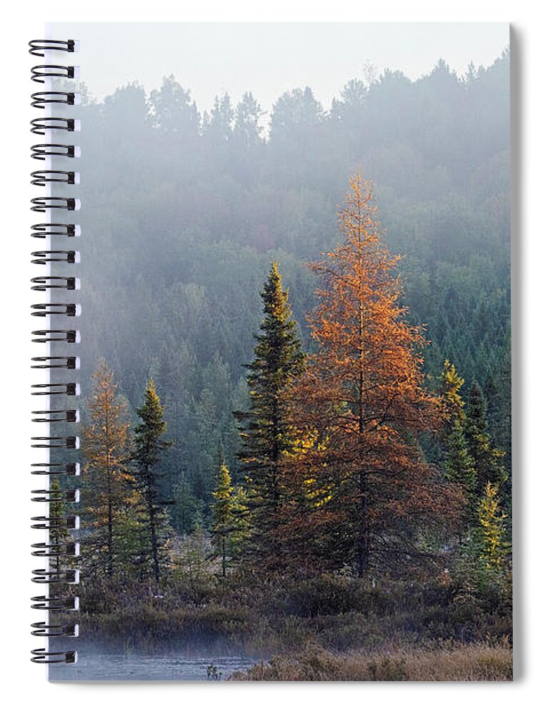 Nina Stavlund Spiral Notebook featuring the photograph Kissed by the Sun by Nina Stavlund