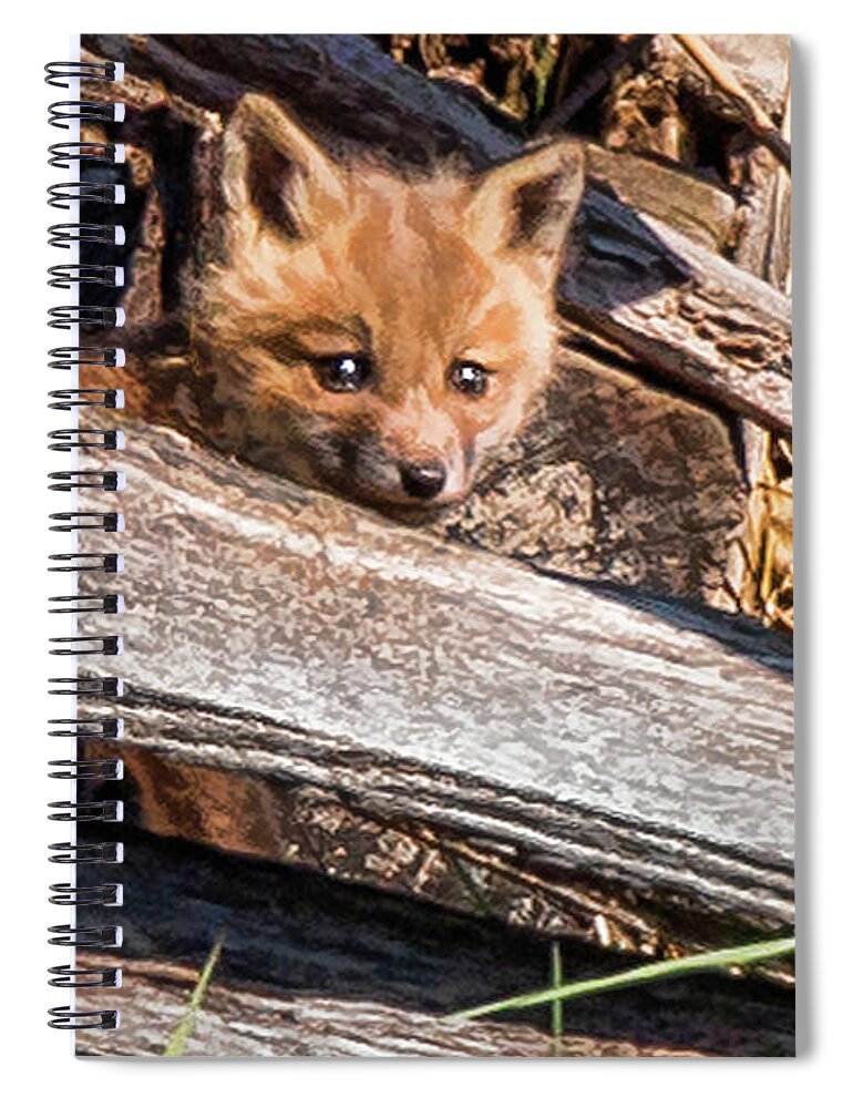 Fox Spiral Notebook featuring the photograph Kit Portrait by Joe Granita