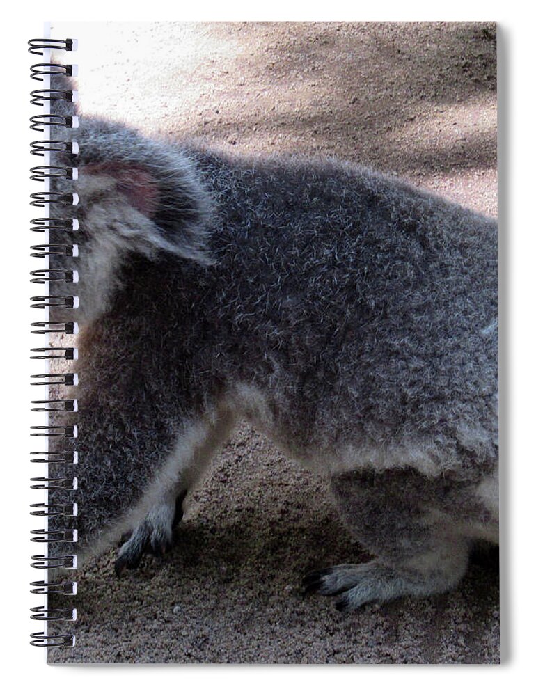 Koala Spiral Notebook featuring the photograph Koala 12 by Randall Weidner