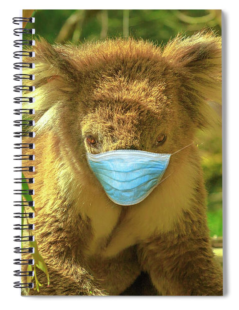 Covid 19 Australia Spiral Notebook featuring the photograph Koala With Surgical Mask by Benny Marty