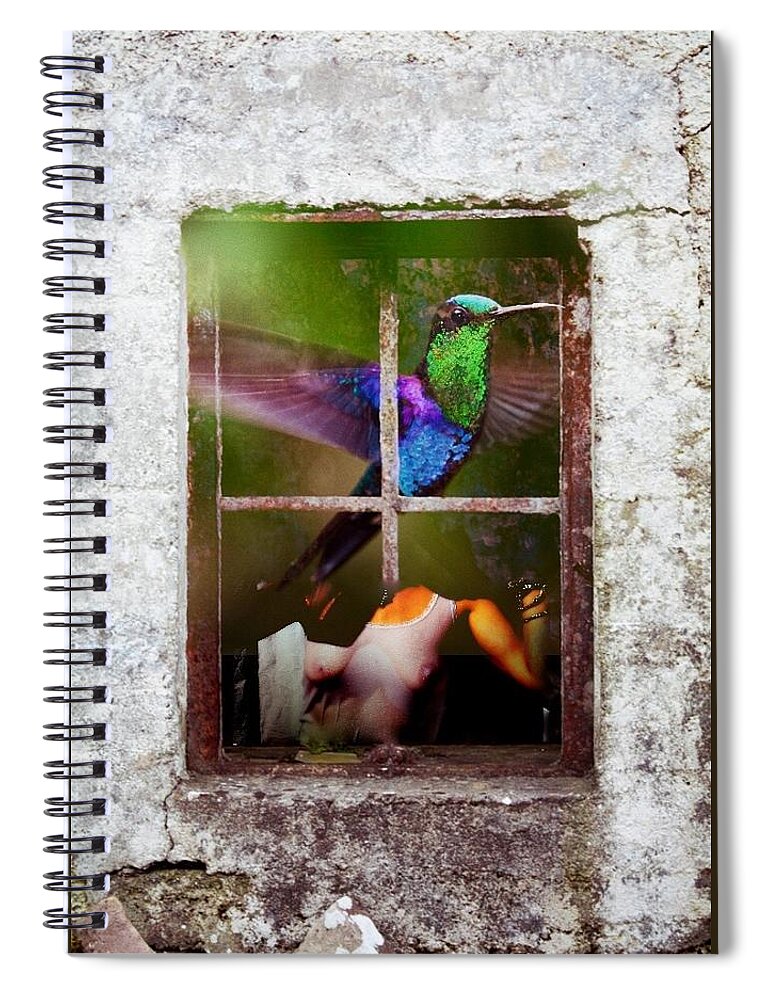 Collage Spiral Notebook featuring the digital art Kolibri by Tanja Leuenberger