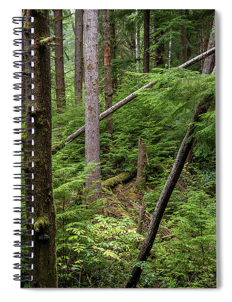 Astoria Spiral Notebook featuring the photograph Kwis Kwis Forest by Robert Potts