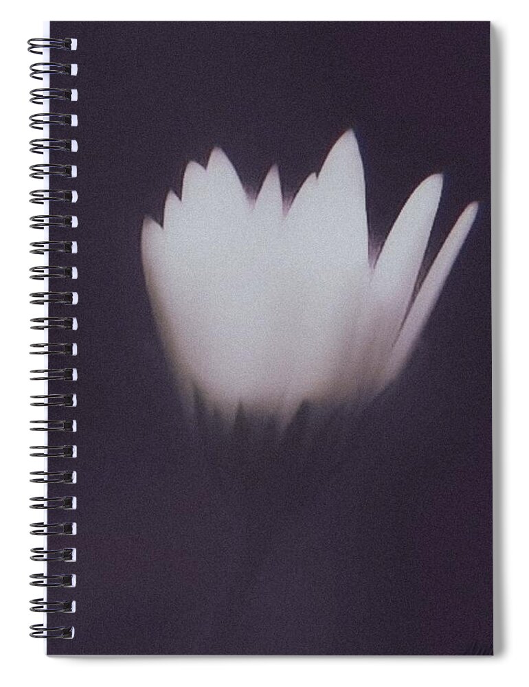 Art Spiral Notebook featuring the digital art La Magia De Les Flors by Auranatura Art