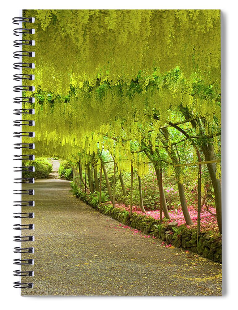 Laburnum Arch Spiral Notebook featuring the photograph Laburnum arch, Bodnant Gardens, Wales by Neale And Judith Clark