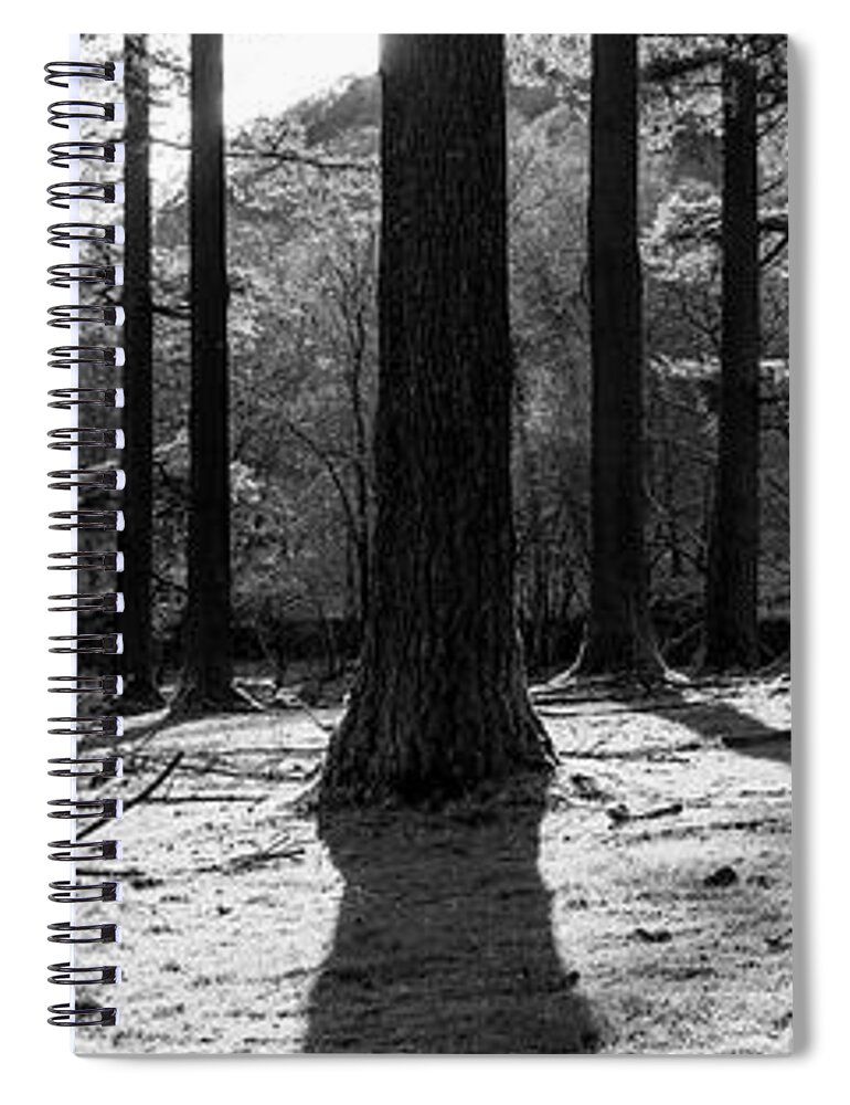 Panorama Spiral Notebook featuring the photograph Lake District Woodland Black and white by Sonny Ryse