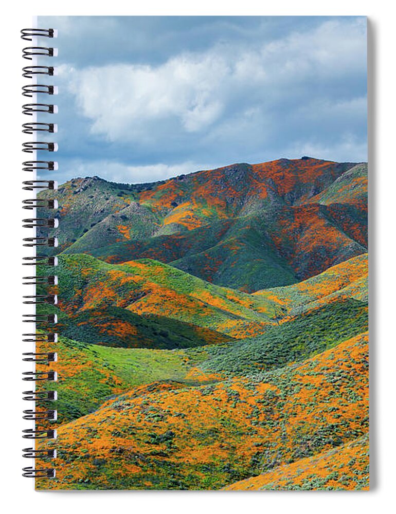 California Poppy Spiral Notebook featuring the photograph Lake Elsinore Poppy Hills by Kyle Hanson