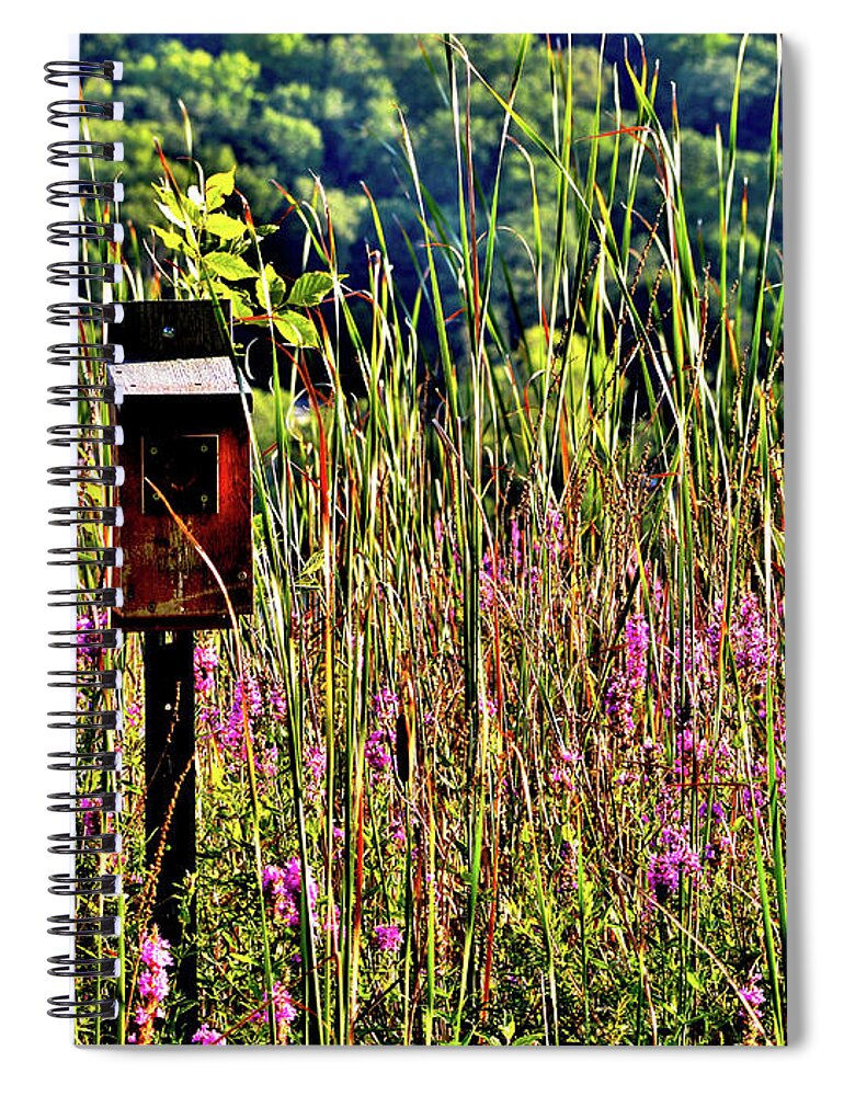 Lake Winona Spiral Notebook featuring the photograph Lake Home by Susie Loechler