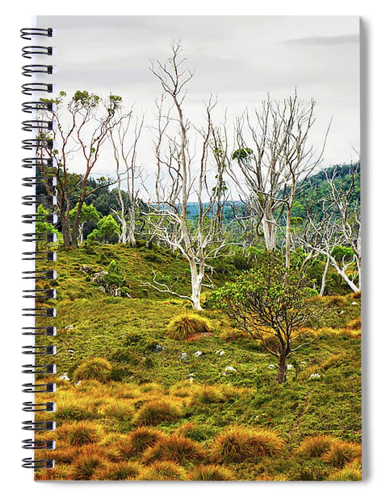 Beautiful And Bold Spiral Notebook featuring the photograph Lake Lilla Track 1 by Lexa Harpell