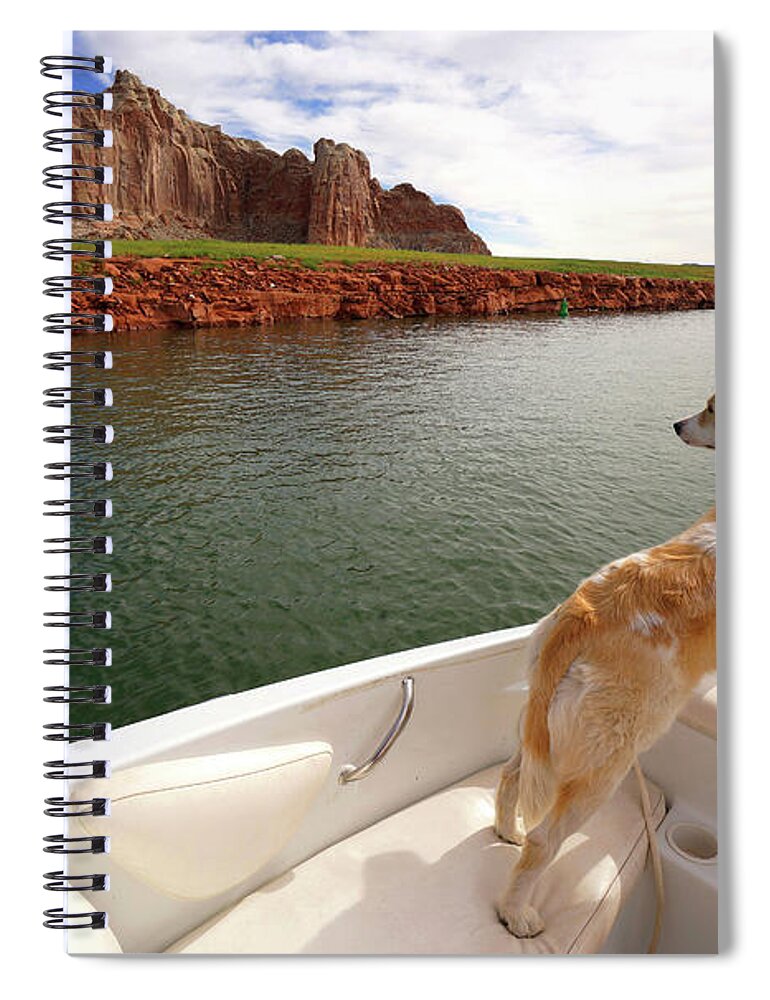 Dog In Boat Spiral Notebook featuring the photograph Lake Powell Dog in Boat by Rick Wilking