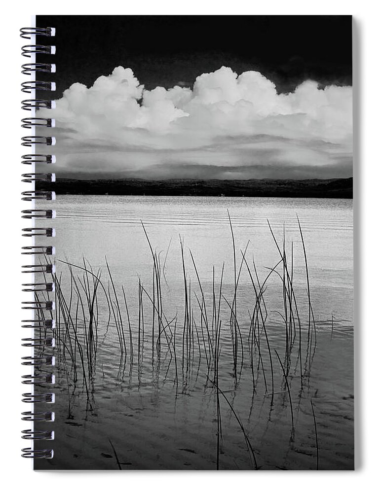 Lake Spiral Notebook featuring the photograph Lake Reeds in the Shallows by Randall Nyhof