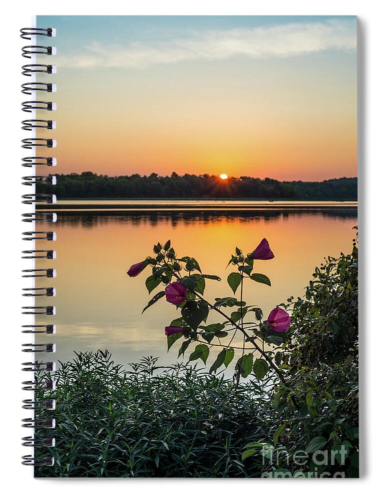 Pink Hibiscus Spiral Notebook featuring the photograph Lake Springfield Hibiscus Sunrise by Jennifer White