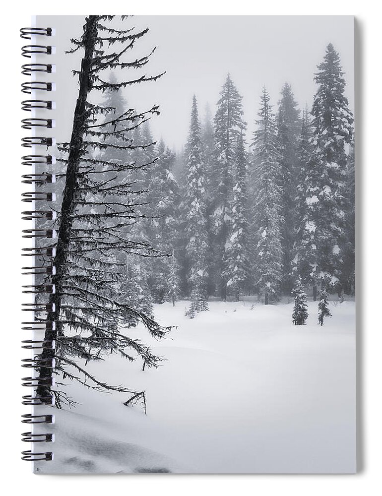 Black And White Photography Spiral Notebook featuring the photograph Lakeside Winter Scene BW by Allan Van Gasbeck