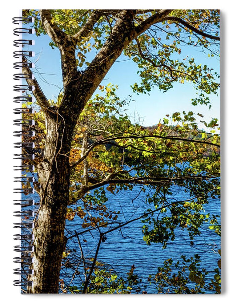 Carolina Spiral Notebook featuring the photograph Lakeview by Debra and Dave Vanderlaan