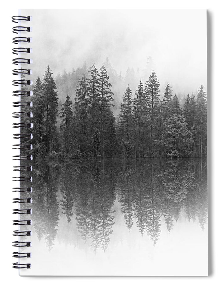 Forest Spiral Notebook featuring the mixed media Landscape Forest Photo 141 by Lucie Dumas