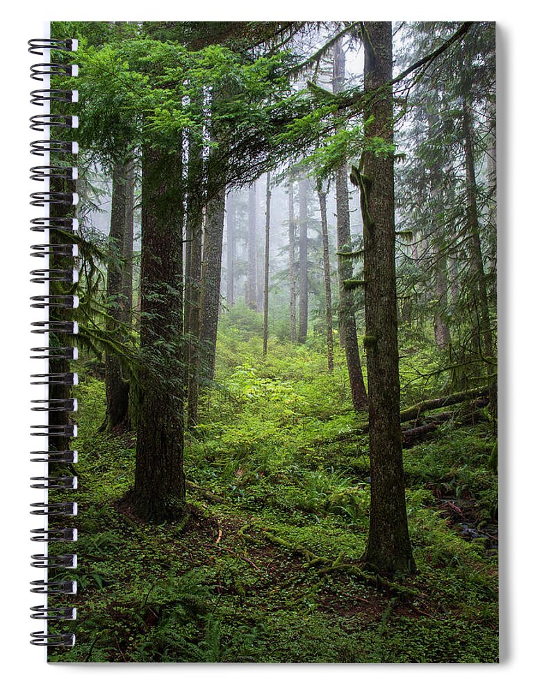 Larch Mountain Fog Spiral Notebook featuring the photograph Larch Mountain Fog by Catherine Avilez