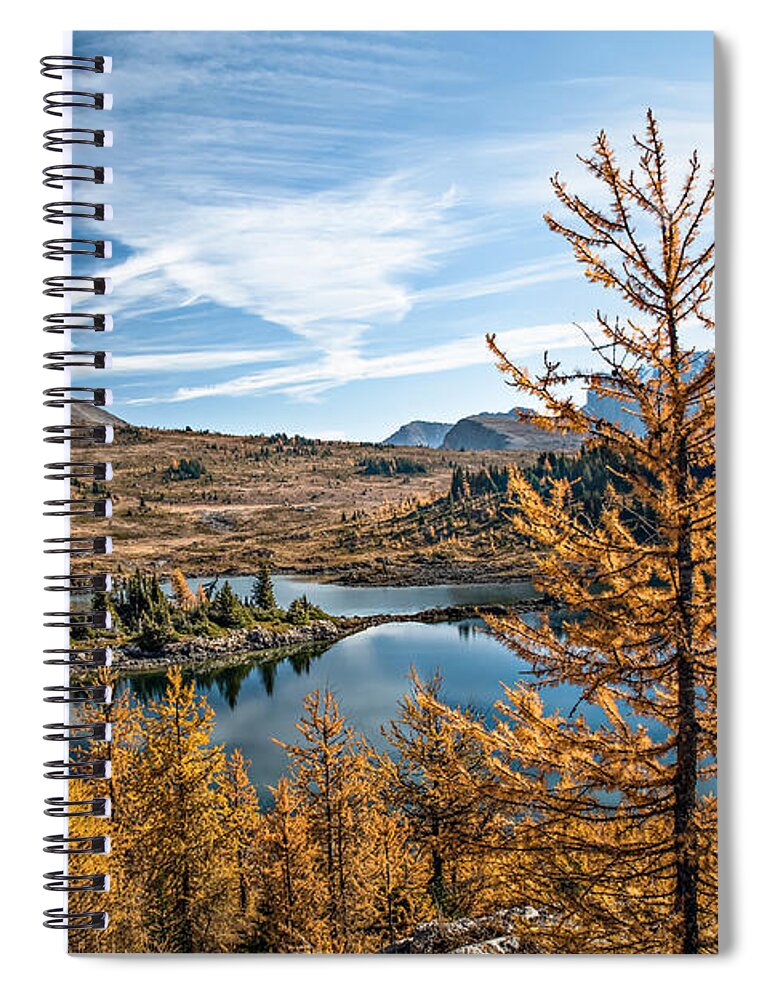 Larch Spiral Notebook featuring the photograph Larch Trees in Sunshine Meadow by Linda Villers