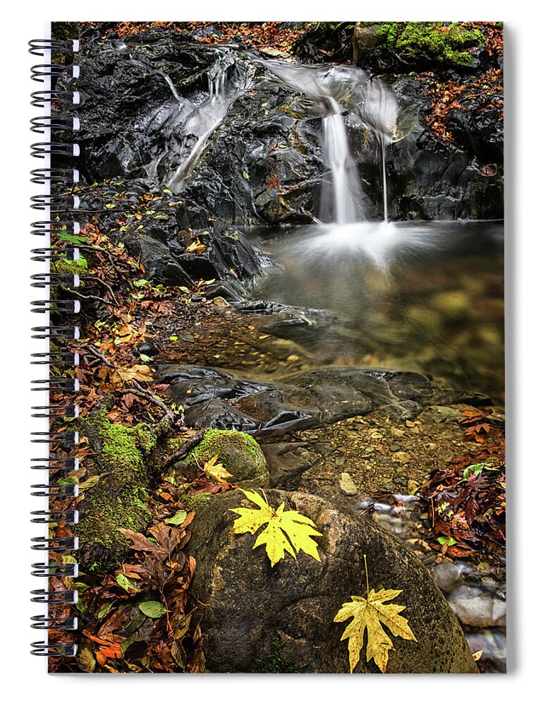 Waterfall Spiral Notebook featuring the photograph Last Bit of Fall by Linda Villers