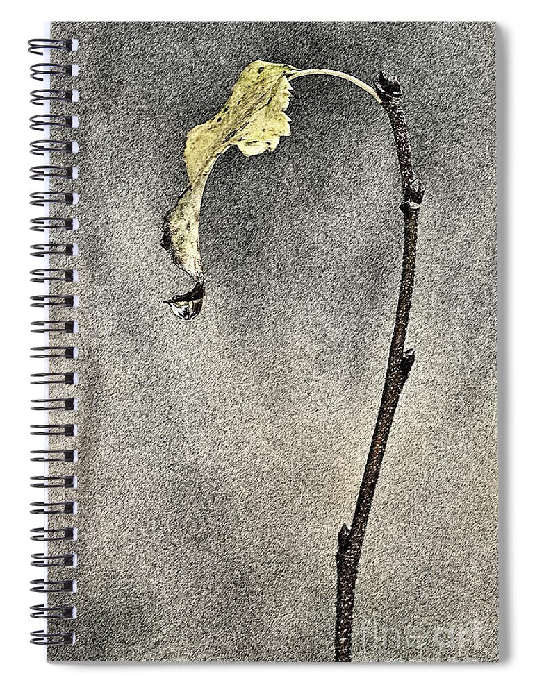 Last Leaf Drop Autumn Fall Beauty Graphic Graphical Stylish Decorative Yellow Brown Brunch Evocative Atmospheric Airy Magical Though Provoking Conceptual Question Mark Delicate Gentle Smart Pretty Attractive Appealing Nature Metaphoric Single Tear Painterly Watercolor Pastel Texture Impressions Impressionistic Impressionism Minimal Minimalism Close Up Rain Elegant Character Figure Associative Meaningful Allure Charming Poetic Delightful Dreamy Sentimental Thoughtful Simplicity Minimalist Sorrow Spiral Notebook featuring the photograph Last Leaf And Last Drop by Tatiana Bogracheva
