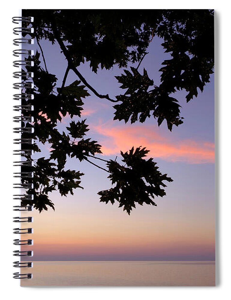 Lake Michigan Spiral Notebook featuring the photograph Last of the Leaves at Lake Michigan by Mary Lee Dereske