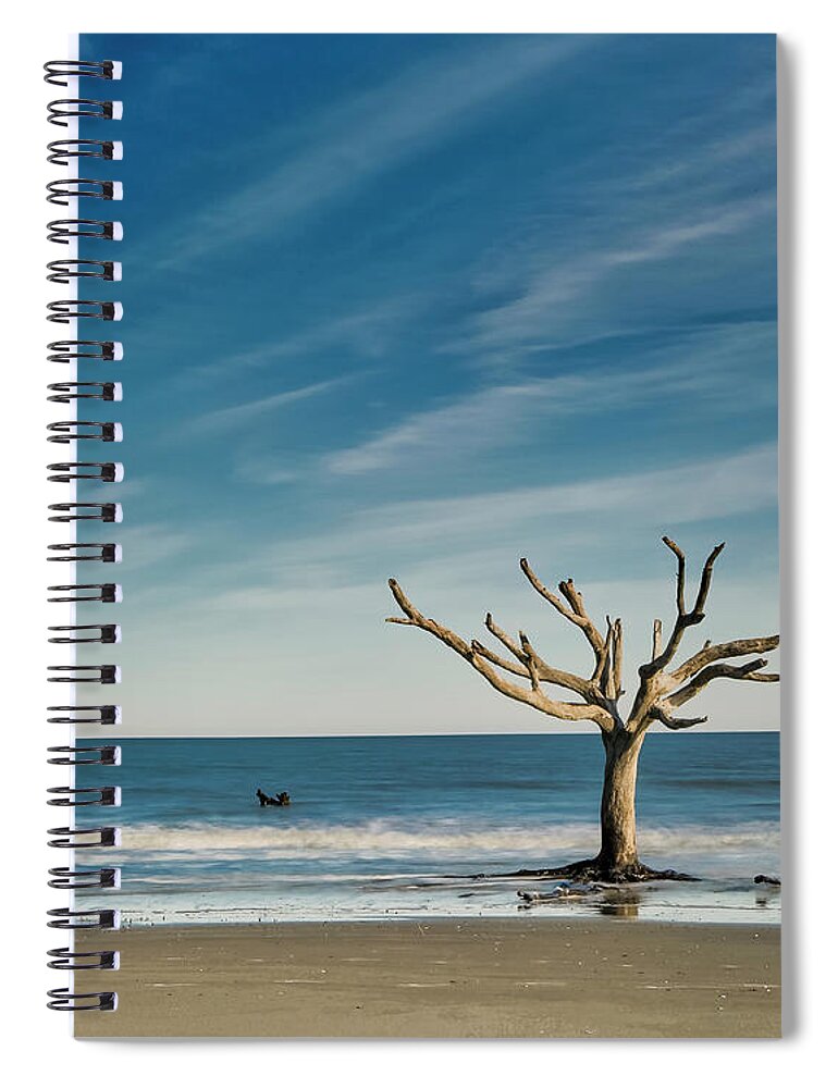 Boneyard Beach Spiral Notebook featuring the photograph Last Tree Standing by Jurgen Lorenzen