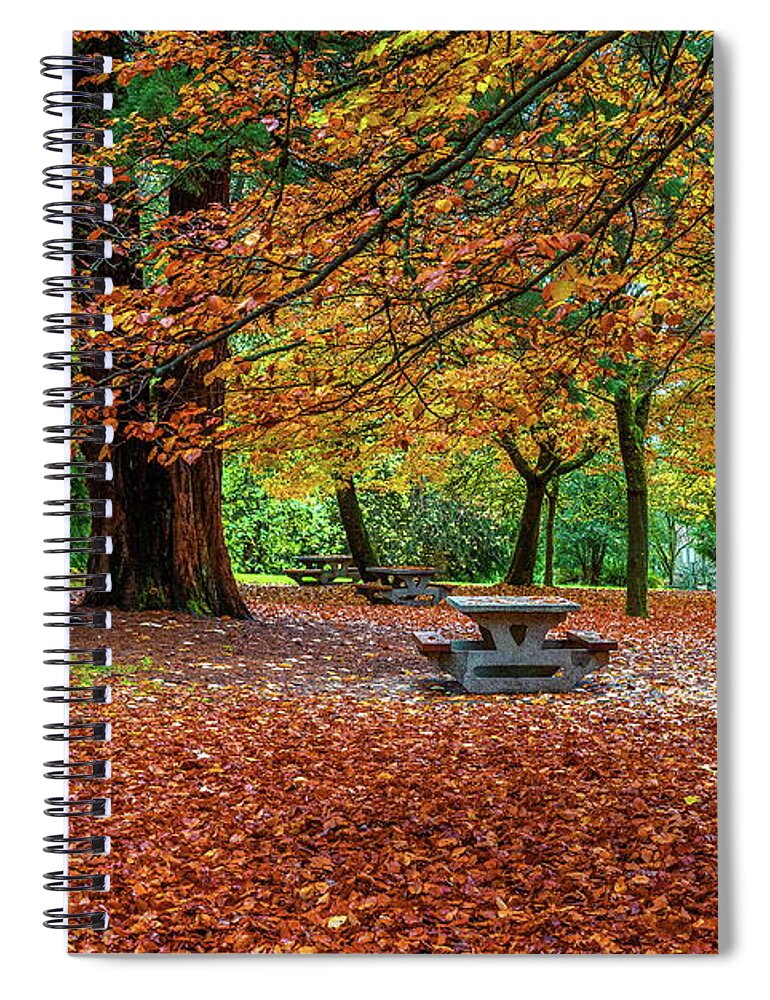 Alex Lyubar Spiral Notebook featuring the photograph Late Autumn in the City Park  by Alex Lyubar