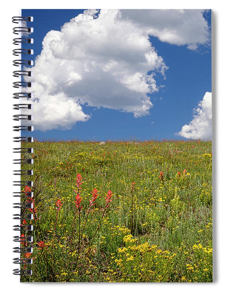 Flowers Spiral Notebook featuring the photograph Late Summer Wildflowers Northern New Mexico by Mary Lee Dereske