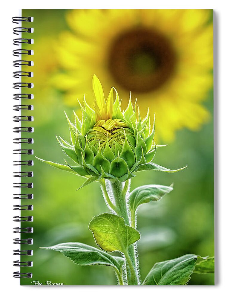 Flower Spiral Notebook featuring the photograph Late to the Dance by Peg Runyan